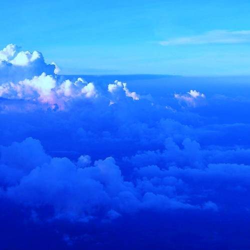 Photo #8742613