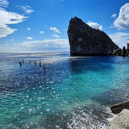 Photo #8742682