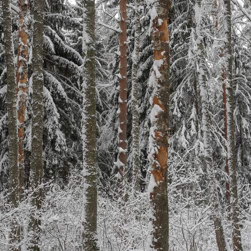 Photo #8742776