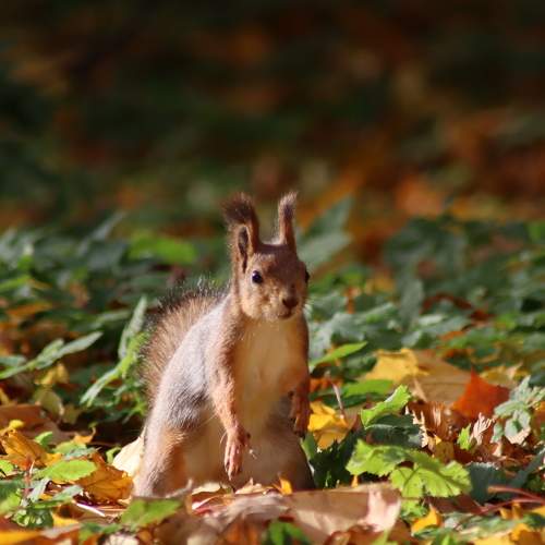 Photo #8743212