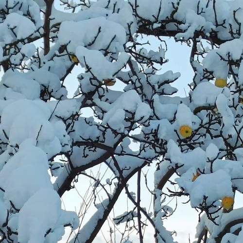 Photo #8743374