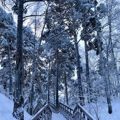 Photo #8743764