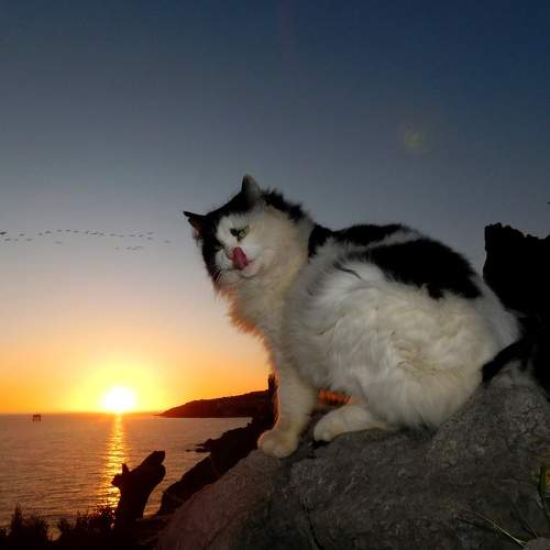 Photo #8743846