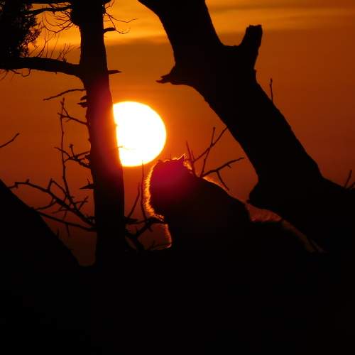 Photo #8743847