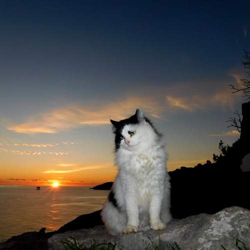 Photo #8743858
