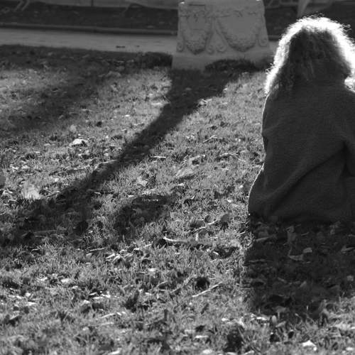 Photo #8744041