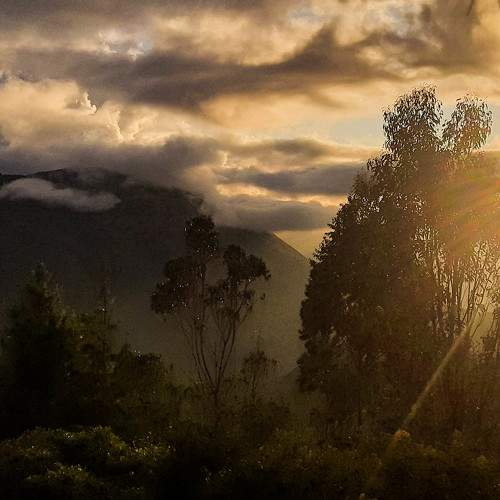 Photo #8744273