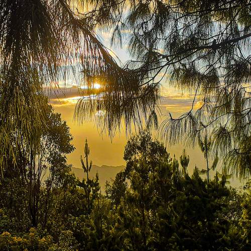 Photo #8744276