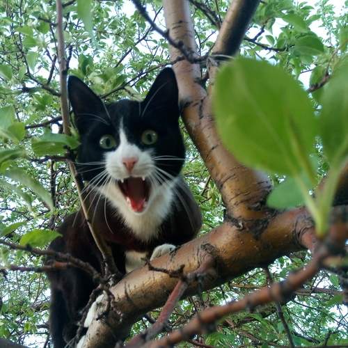Photo #8744666