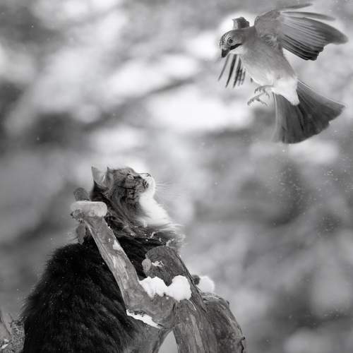 Photo #8744798