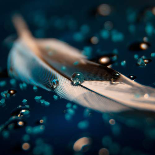 Photo #8744857