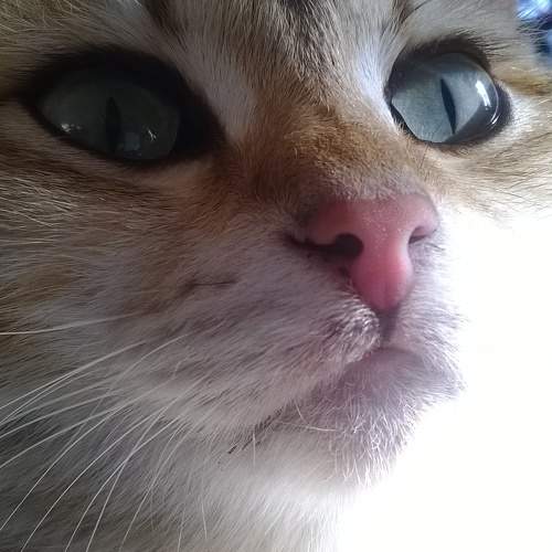 Photo #8744902