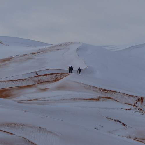 Photo #8744974