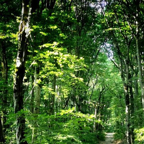 Photo #8745054