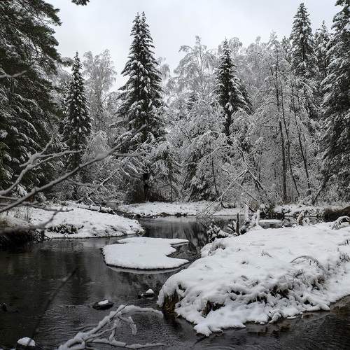 Photo #8745066