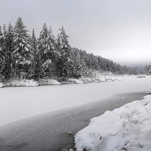 Photo #8745067