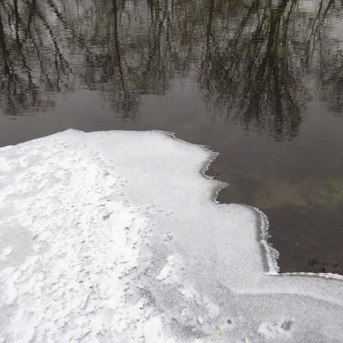 Photo #8745170