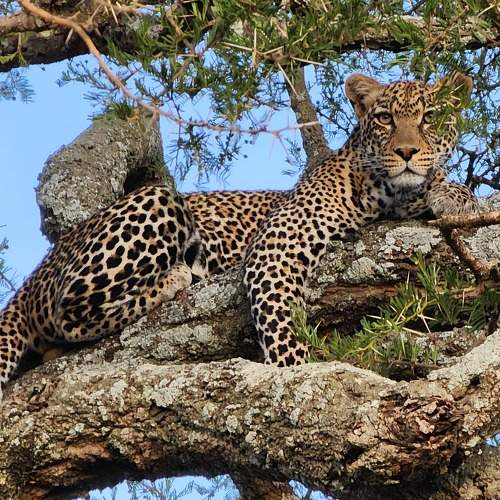 Photo #8745641