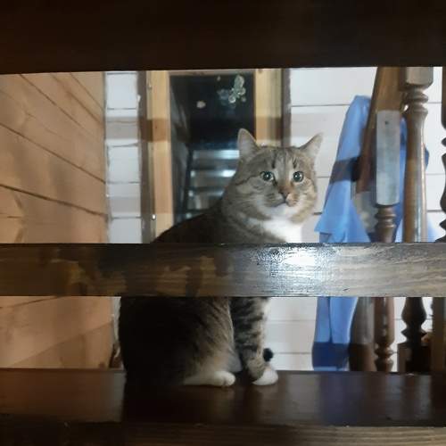 Photo #8745643
