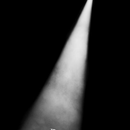 Photo #8745698