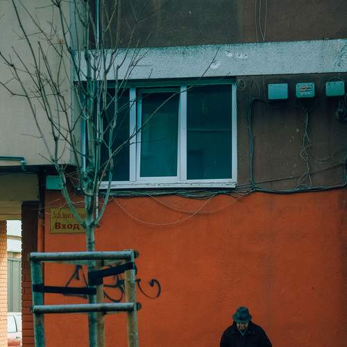 Photo #8745785