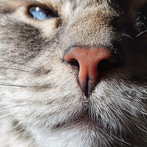Photo #8745829
