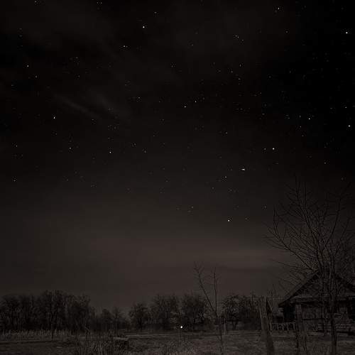Photo #8746049
