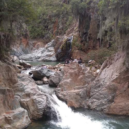 Naturaleza+amigos=tarde para disfrutar