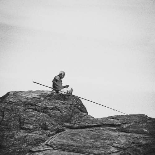 Photo #8747163