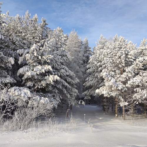 Photo #8747565