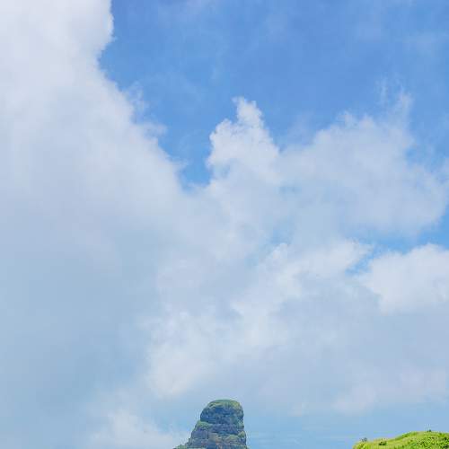 Photo #8747667