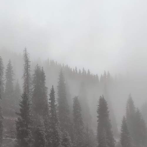 Photo #8747789
