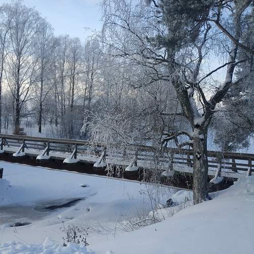 Photo #8747798