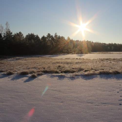 Photo #8747876