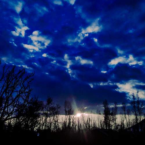 Photo #8748225