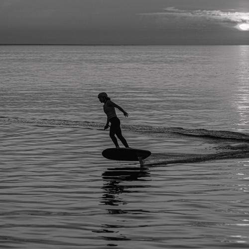 Photo #8748319