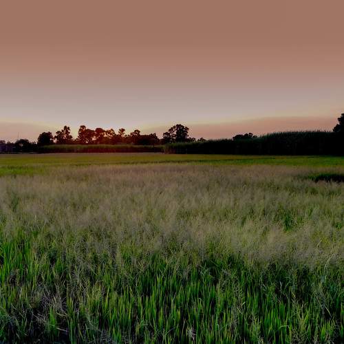 Photo #8748328