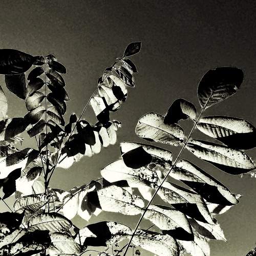 Photo #8748396
