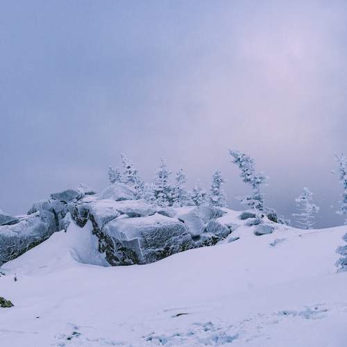 Photo #8748422