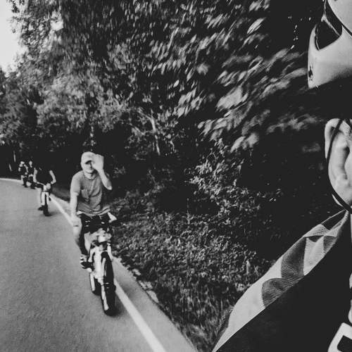 Photo #8748689