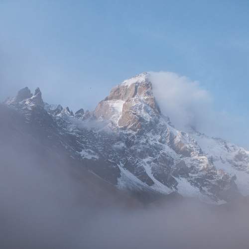Photo #8748851