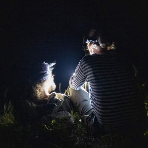 Photo #8749062