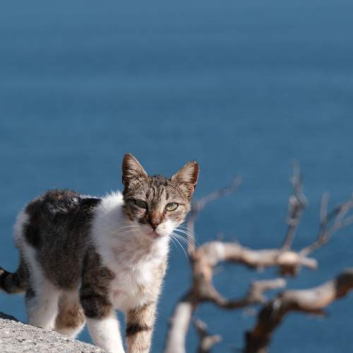 Photo #8749157