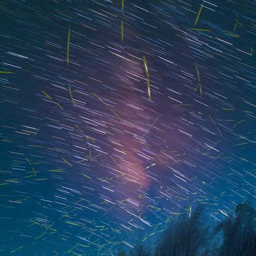 Photo #8749296