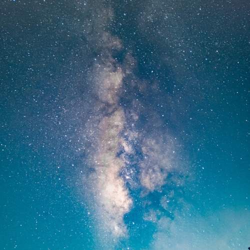 Photo #8749298