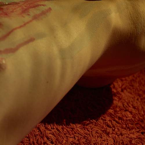 Photo #8749472