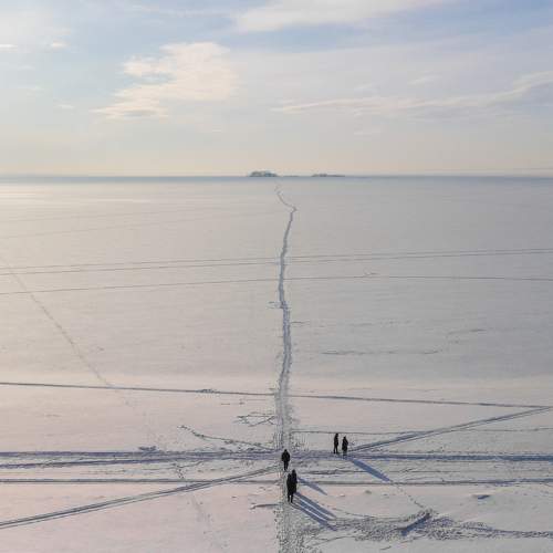 Photo #8749933