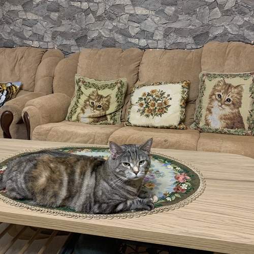 Photo #8750213