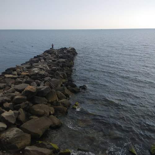 Photo #8750260
