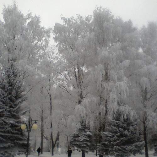 Photo #8750332